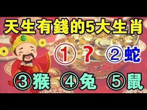 房子座向生肖|十二生肖宅運大公開